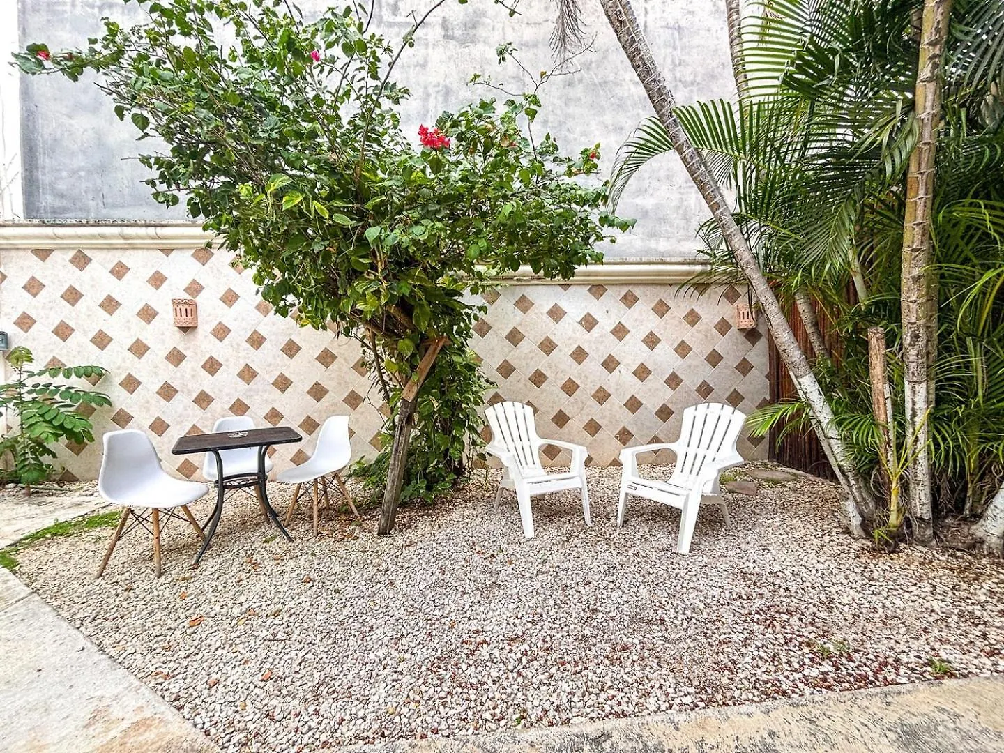 Apartamento Close To Beach, Quinta,Ferry To Cozumel And Xcaret Playa del Carmen